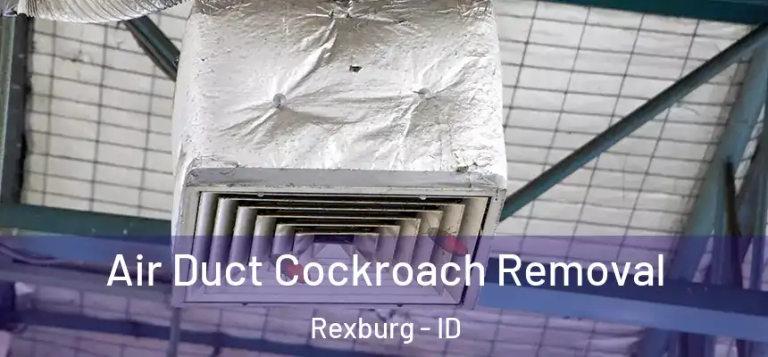 Air Duct Cockroach Removal Rexburg - ID