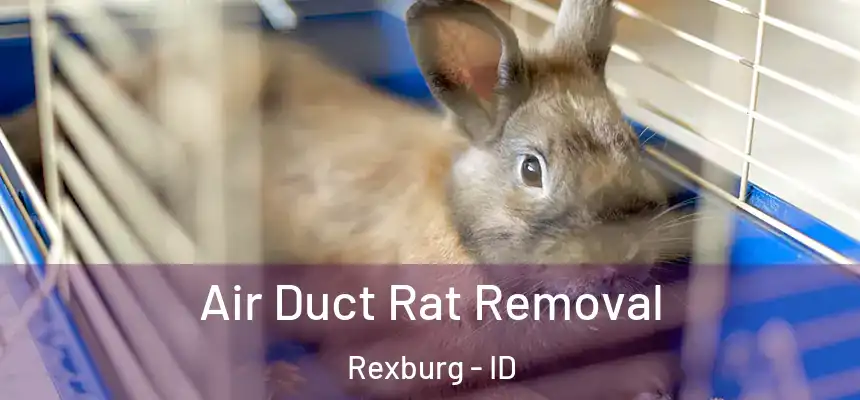 Air Duct Rat Removal Rexburg - ID