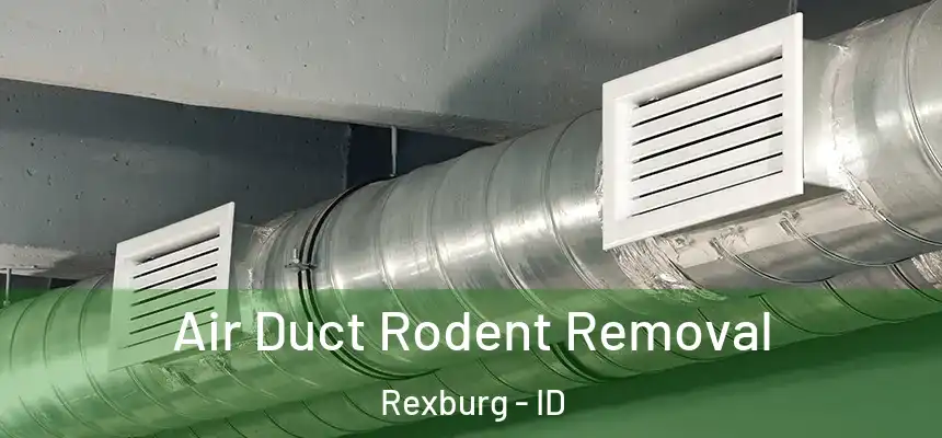Air Duct Rodent Removal Rexburg - ID