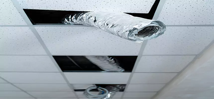 Affordable HVAC Sanitizing After Pest Removal in Rexburg