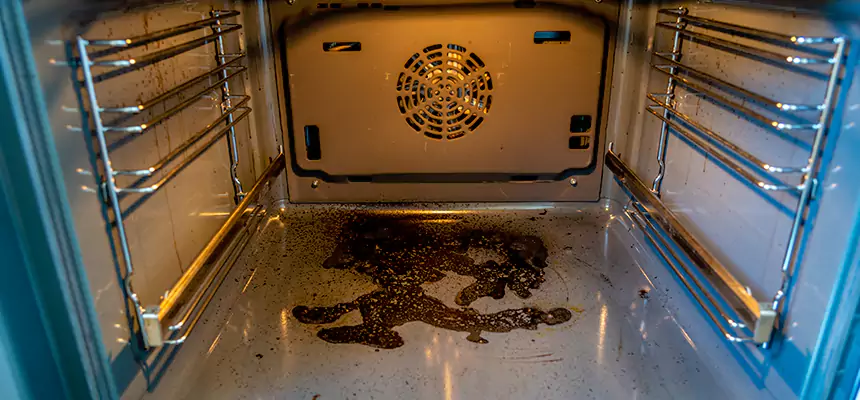 Our Dryer Vent Mold Cleaning Services in Rexburg, ID