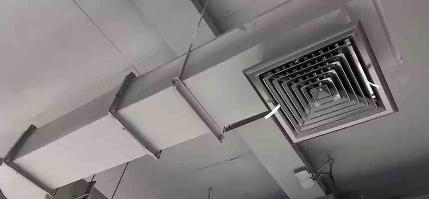 Our Pest Removal From Ducts Services in Rexburg, ID