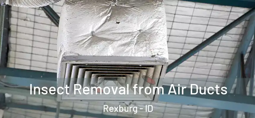 Insect Removal from Air Ducts Rexburg - ID