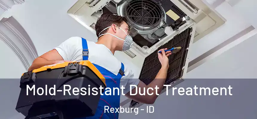 Mold-Resistant Duct Treatment Rexburg - ID