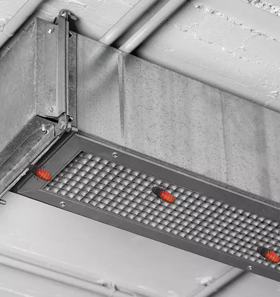 About Air Duct Cockroach Removal in Rexburg, ID