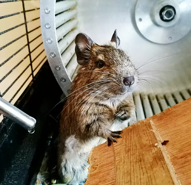 Why Homeowners & Businesses Trust Us Rexburg, ID